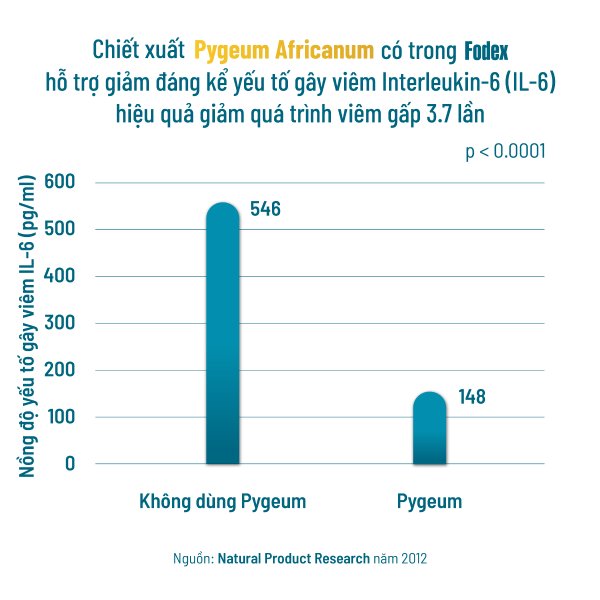 Pygeum Africanum hỗ trợ chống viêm