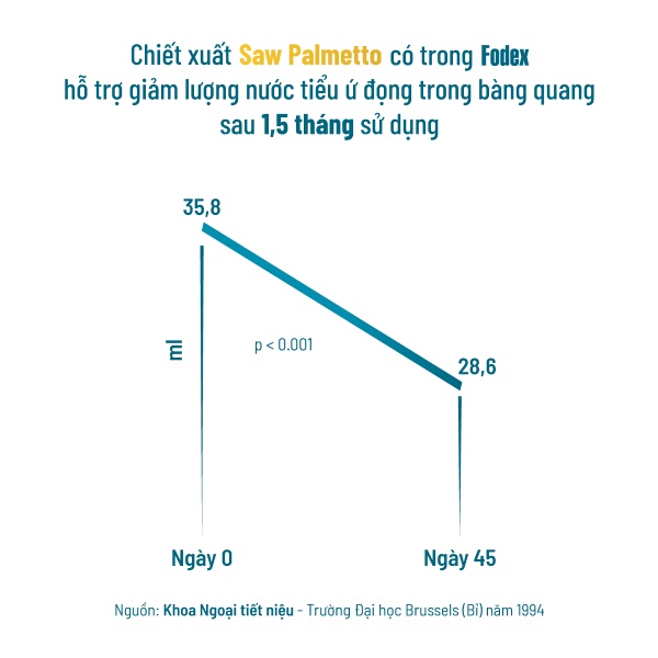 Saw Palmetto giảm nước tiểu ứ đọng