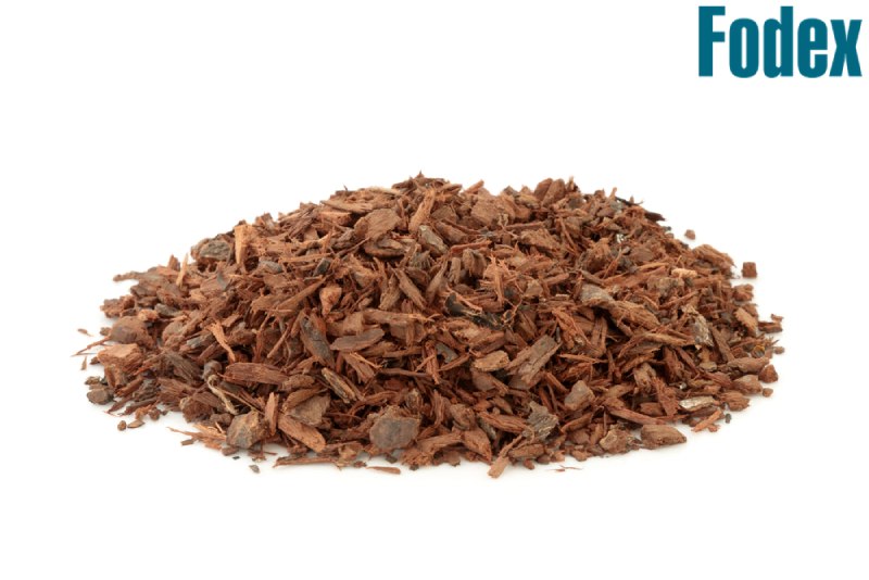 Vỏ cây Pygeum Africanum