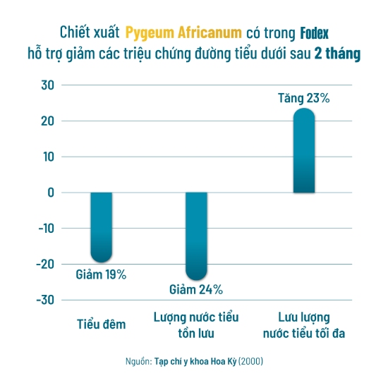 hỗ trợ giảm các triệu chứng đường tiểu dưới