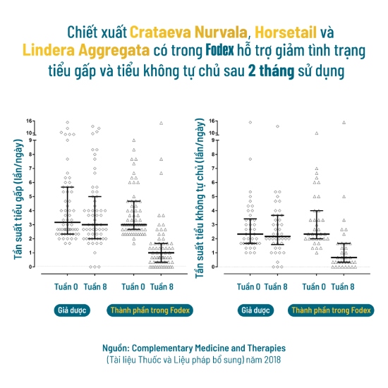 hỗ trợ giảm tình trạng tiêu gấp và tiểu không tự chủ