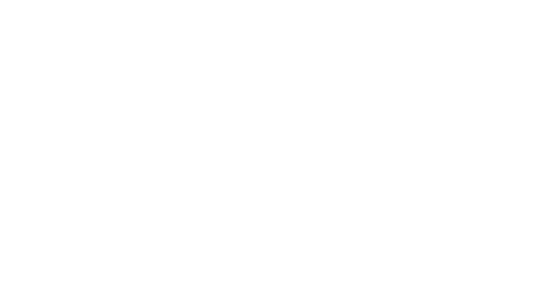 logo fodex