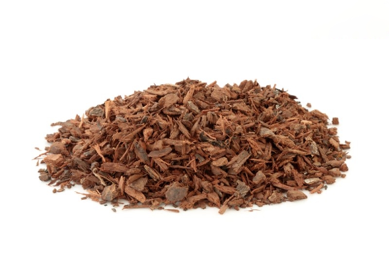 vỏ cây Pygeum Africanum