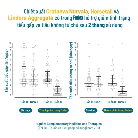 các chất khác có trong thuốc fodex