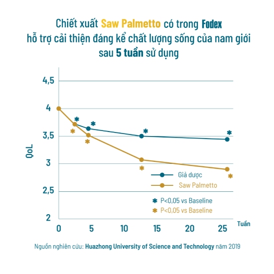 chiết xuất saw palmetto trong thuốc fodex