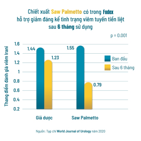 chiết xuất saw palmetto có trong thuốc fodex là giảm viêm tuyến tiền liệt