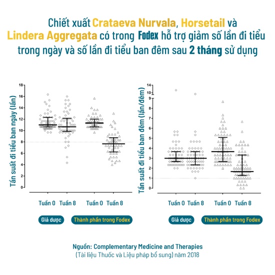 fodex hỗ trợ giảm số lần đi tiểu