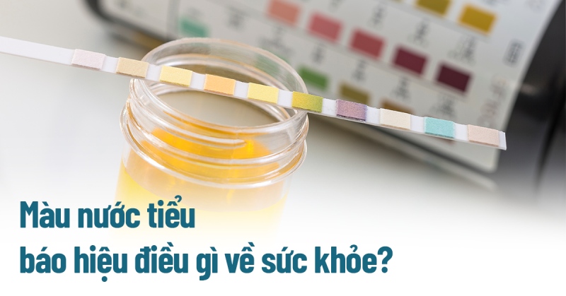 Màu nước tiểu như thế nào là biểu hiện bệnh? Báo hiệu điều gì?