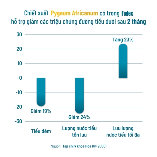 chiết xuất pygeum africanum bark có trong fodex