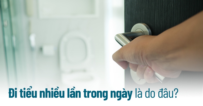 Đi tiểu nhiều lần trong ngày là bệnh gì? Nguyên nhân, cách khắc phục