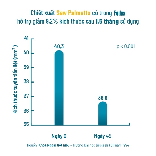saw palmetto giúp cải thiện kích thước tuyến tiền liệt