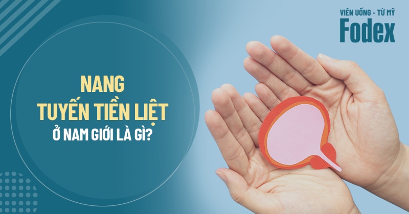 U nang tuyến tiền liệt là gì? Nguyên nhân, dấu hiệu, phòng ngừa