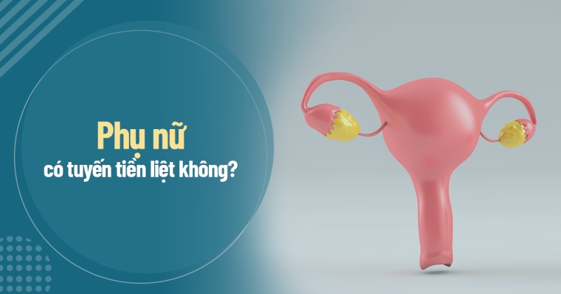 Phụ nữ có tuyến tiền liệt không? Thực chất tuyến tiền liệt nữ là gì?