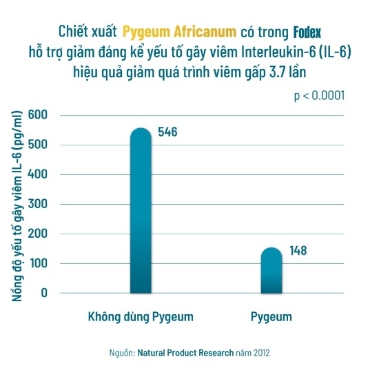 Pygeum Africanum hỗ trợ cải thiện viêm tuyến tiền liệt