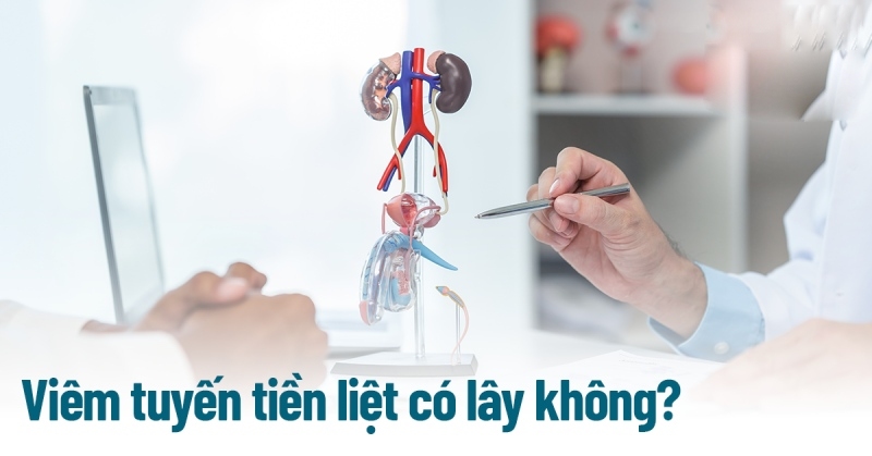 Viêm tuyến tiền liệt có lây không? Cách phòng ngừa như thế nào?