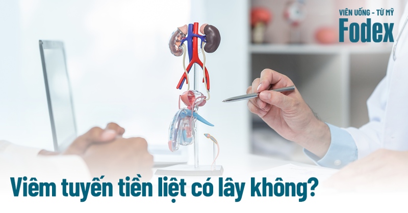 Viêm tuyến tiền liệt có lây không? Cách phòng ngừa như thế nào?