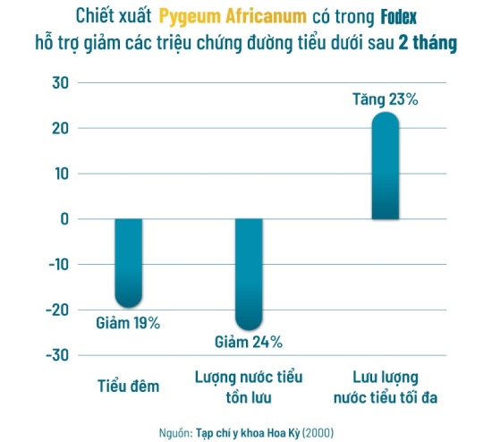 pygeum africanum hỗ trợ giảm các triệu chứng đường tiểu dưới