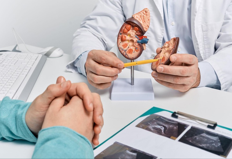 sỏi thận có thể gây ra khó tiểu sau khi quan hệ