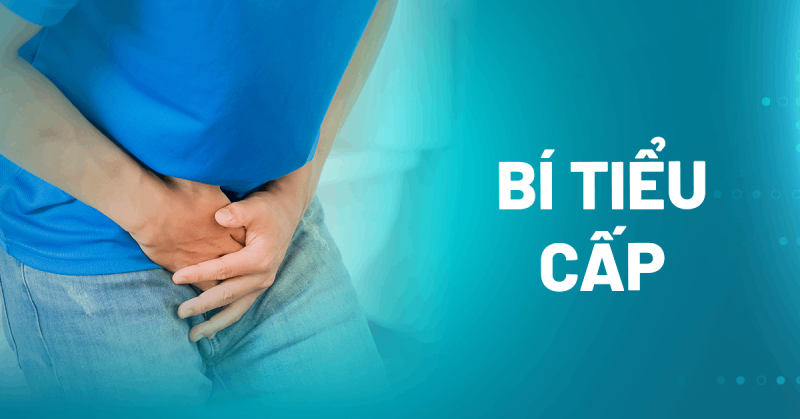 Bí tiểu cấp là gì? Nguyên nhân và cách xử trí ban đầu thế nào?