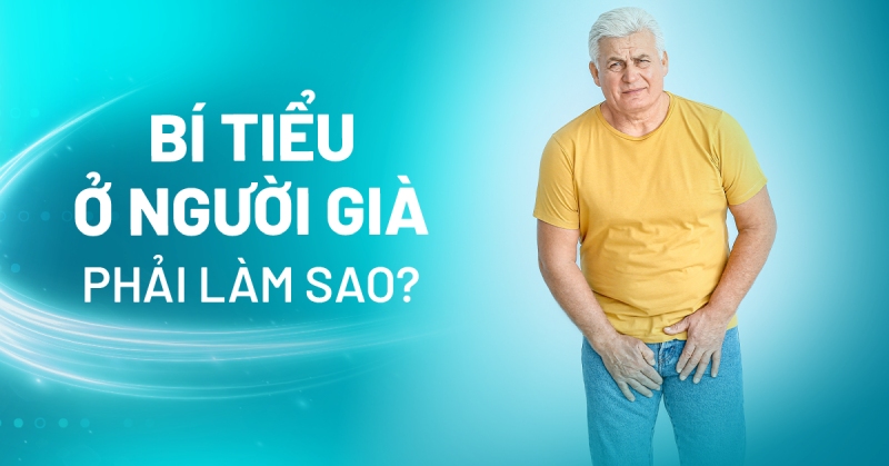 Bí tiểu ở người già phải làm sao? Phòng ngừa bí tiểu ở người cao tuổi