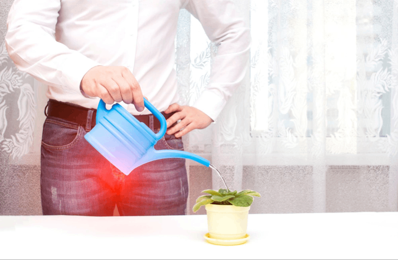 chăm sóc bí tiểu