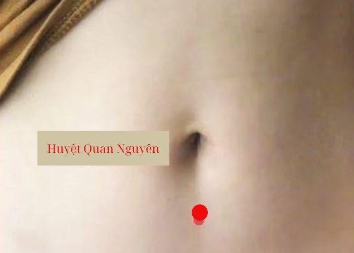 vị trí huyệt quan nguyên